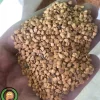 عکس بذر بادمجان خدمات کشاورزی راد