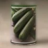 بذر خیار DAS