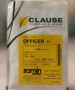 خیار هیبرید آفیسر کلاز