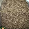 عکس بذر زردک خدمات کشاورزی راد