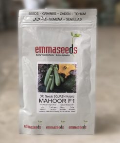 کدو هیبرید اماسیدز ماهور