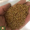 عکس بذر شنبلیله خدمات کشاورزی راد