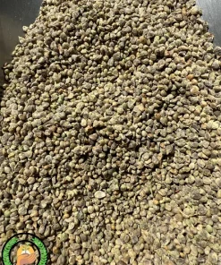 عکس بذر اسفناج خدمات کشاورزی راد