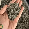 عکس بذر بامیه خدمات کشاورزی راد
