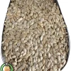 عکس بذر کدو خورشتی راد