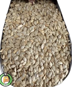 عکس بذر کدو خورشتی راد