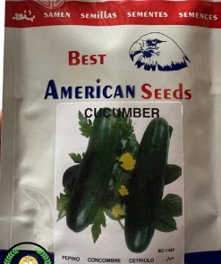 بذر خیار best-american-seeds-Beit Alpha