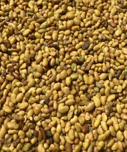 عکس بذر یونجه رنجر همدانی راد