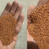 عکس بذر شاهی-خدمات کشاورزی راد