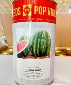 عکس بذر هندوانه کریمسون سوئیت