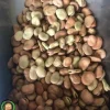 بذر باقلا راد 4 بذر باقلا راد