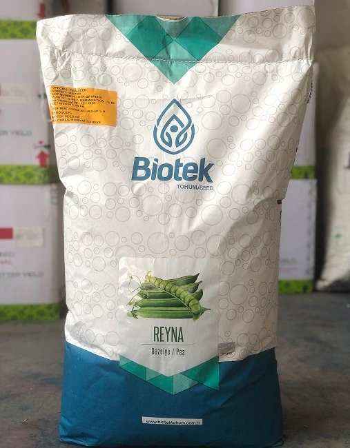 بذر نخود فرنگی Reyna بیوتک 2 بذر نخود فرنگی rayna بیوتک